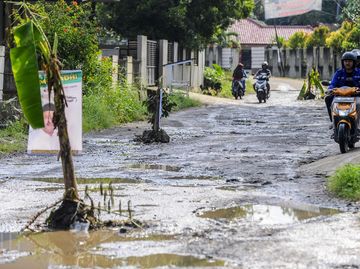 Protes Jalan Rusak, Warga Pandeglang Tanam Pohon Pisang