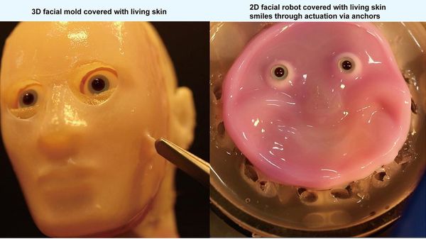 Potret Robot Buatan Ilmuwan Jepang yang Pakai Kulit Hidup di Wajahnya