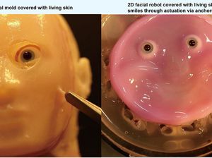 Potret Robot Buatan Ilmuwan Jepang yang Pakai Kulit Hidup di Wajahnya Potret Robot Buatan Ilmuwan Jepang yang Pakai Kulit Hidup di Wajahnya
