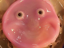 Keren tapi Ngeri! Ini Robot dengan Jaringan Kulit Manusia