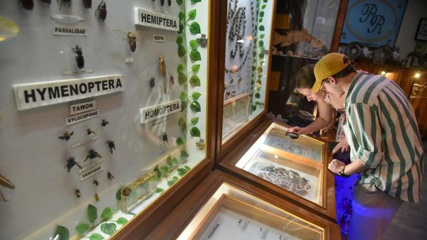Bermain Sambil Belajar di Museum Satwa Medan