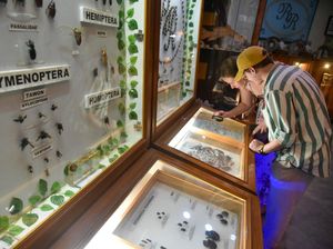 Bermain Sambil Belajar di Museum Satwa Medan Bermain Sambil Belajar di Museum Satwa Medan