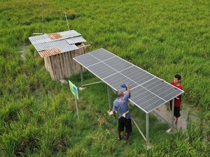 Desa Ini Gunakan PLTS untuk Pompa Irigasi Pertanian, Ini Potretnya