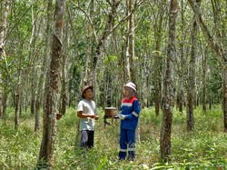 Desa Pagardewa di Muara Enim Jadi Ekowisata