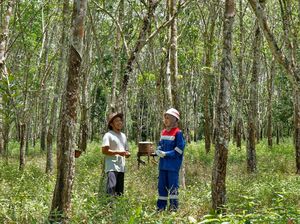 Desa Pagardewa di Muara Enim Jadi Ekowisata Desa Pagardewa di Muara Enim Jadi Ekowisata