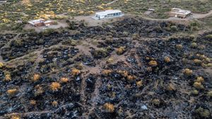 Foto Udara Lahan Hangus Akibat Kebakaran di Arizona
