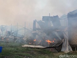 10.000 Ayam Terpanggang dalam Kebakaran Kandang di Jombang
