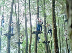 Kopeng Treetop Adventure Park: Jam Buka, Harga, Fasilitas, Daya Tarik Kopeng Treetop Adventure Park: Jam Buka, Harga, Fasilitas, Daya Tarik