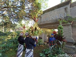 Melihat Tradisi Manten Kopi Kawisari Blitar yang Jadi Tanda Awal Musim Petik