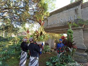 Melihat Tradisi Manten Kopi Kawisari Blitar yang Jadi Tanda Awal Musim Petik Melihat Tradisi Manten Kopi Kawisari Blitar yang Jadi Tanda Awal Musim Petik