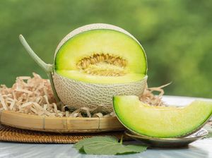 5 Jenis Melon Populer di Indonesia, dari yang Standar hingga Premium 5 Jenis Melon Populer di Indonesia, dari yang Standar hingga Premium