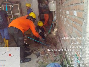 Petugas Damkar Temukan Ular Bersarang-Bertelur di Rumah Warga Lubuklinggau