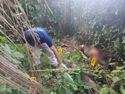 Identitas Mayat yang Ditemukan di Kebun Kelapa Terungkap!