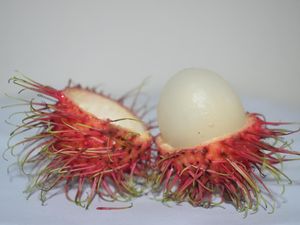 Banyak Kerutan di Kantong Testis, Ini Saran Dokter Biar Tak Gampang Infeksi Banyak Kerutan di Kantong Testis, Ini Saran Dokter Biar Tak Gampang Infeksi