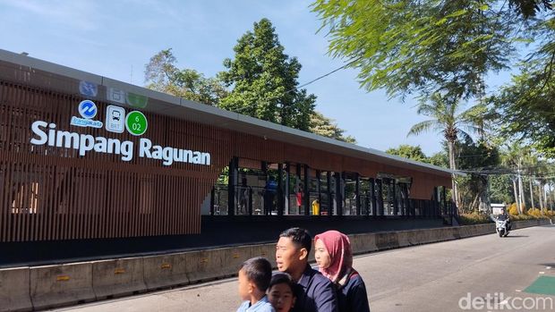Halte TransJakarta Simpang Ragunan. (Maulana Ilhami Fawdi/detikcom)