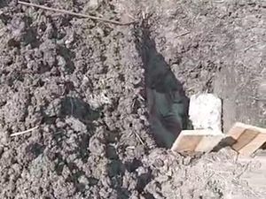 Fakta Baru Kasus Pencurian Tali Pocong di Banyuwangi Fakta Baru Kasus Pencurian Tali Pocong di Banyuwangi