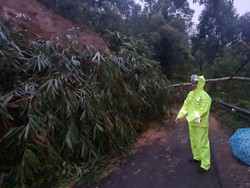 Longsor Putus Jalan Penghubung Tasikmalaya-Garut