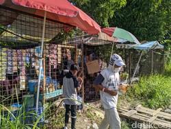 Penjual Kopi-Nasi Bungkus di Luar Sirkuit MXGP Lombok Ketiban Rezeki