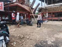 Polisi di Toraja Utara Gerebek Judi Sabung Ayam Saat Pesta Adat Rambu Solo