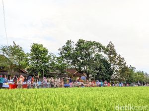 Pasar Aby Cinta, Lokasi Kulineran di Pinggir Sawah Lombok Tengah Pasar Aby Cinta, Lokasi Kulineran di Pinggir Sawah Lombok Tengah