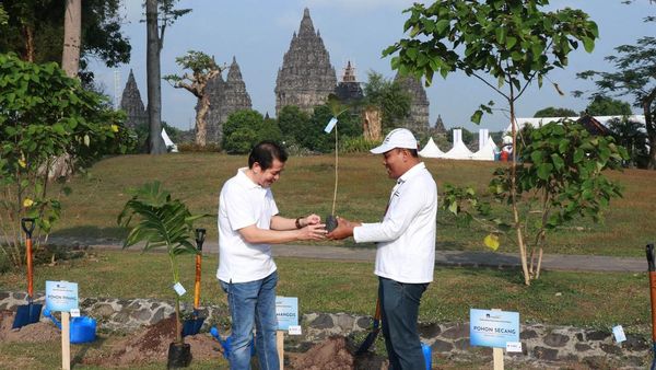 Tanam Pohon Pewarna Alami di Kawasan Candi