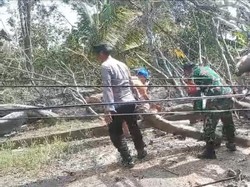 Pohon Tumbang di Ngawi Timpa Pemotor hingga Patah Tulang