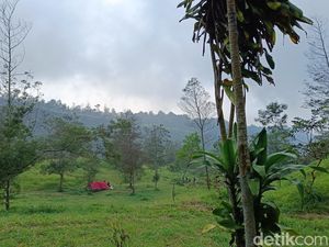 Coba-coba Easy Hiking di Ekowisata Kalitalang, eh Malah Nagih!