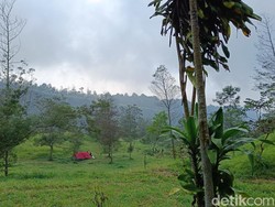 Coba-coba Easy Hiking di Ekowisata Kalitalang, eh Malah Nagih!