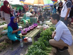 Budisatrio Djiwandono Dukung Swasembada Pangan Dimulai dari Perbatasan