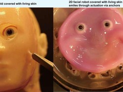 Jepang Bikin Wajah Robot Pakai Sel Kulit Manusia, Tapi Kok Ngeri