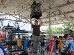 687 Kicau Mania Meriahkan HUT ke-78 Bhayangkara di Jombang