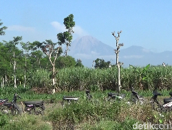 Gunung Semeru Erupsi Luncurkan Guguran Abu Vulkanik Setinggi 600 Meter