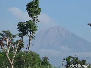 Masih Berstatus Siaga, Gunung Semeru Kembali Erupsi Setinggi 1 Kilometer