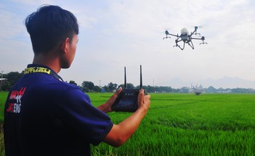 Petani Kudus Semprotkan Pestisida Pakai Drone, Begini Potretnya