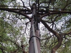 Jejak Trem di Surabaya, Tiang Listriknya Masih Ada di Jalan Rajawali