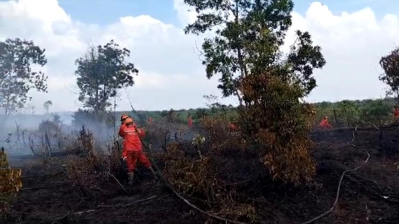 Manggala Agni Padamkan Karhutla di Banyuasin