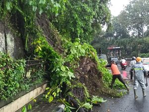Hujan Deras, Tanah Longsor-Pohon Tumbang Terjadi di Tabanan Hujan Deras, Tanah Longsor-Pohon Tumbang Terjadi di Tabanan
