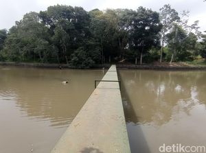 Potensi Wisata Alam Situ Cibeureum Tasik yang Belum Tergali Optimal