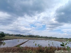 Masih Ada Awan Hujan di Langit Jogja Saat Kemarau, Ini Penjelasan BMKG