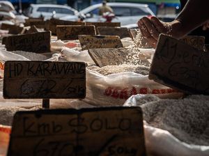 Terungkap! Ini Penyebab Harga Beras Mulai Naik Lagi