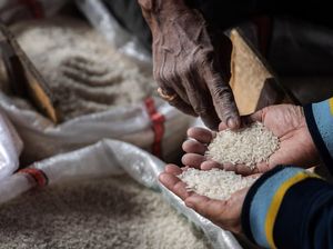 Harga Beras dan Cabai Rawit Merah Masih Tinggi Harga Beras dan Cabai Rawit Merah Masih Tinggi