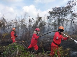 4 Hektare Lahan di Banyuasin Masih Terbakar, Manggala Agni Fokus Pemadaman