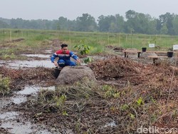 KPI RU III Plaju Bangun Taman Kehati di JSC Palembang, Ditanami Pohon Langka