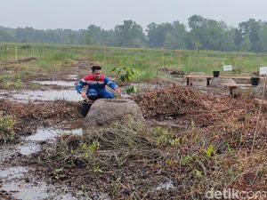 KPI RU III Plaju Bangun Taman Kehati di JSC Palembang, Ditanami Pohon Langka KPI RU III Plaju Bangun Taman Kehati di JSC Palembang, Ditanami Pohon Langka