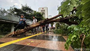 Hujan Deras Bikin Pohon Tumbang di Dekat Stasiun Sudirman