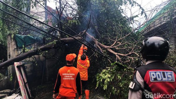 Pohon Tumbang Juga Terjadi di Jalan Tendean Jaksel, Ini Potretnya