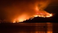 Potret Kebakaran Hutan di California