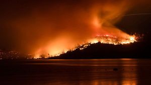 Potret Kebakaran Hutan di California