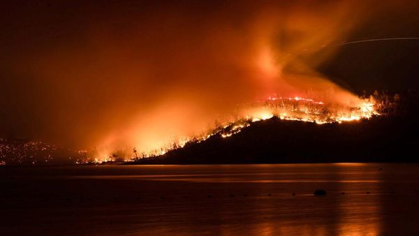 Potret Kebakaran Hutan di California