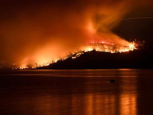 Potret Kebakaran Hutan di California